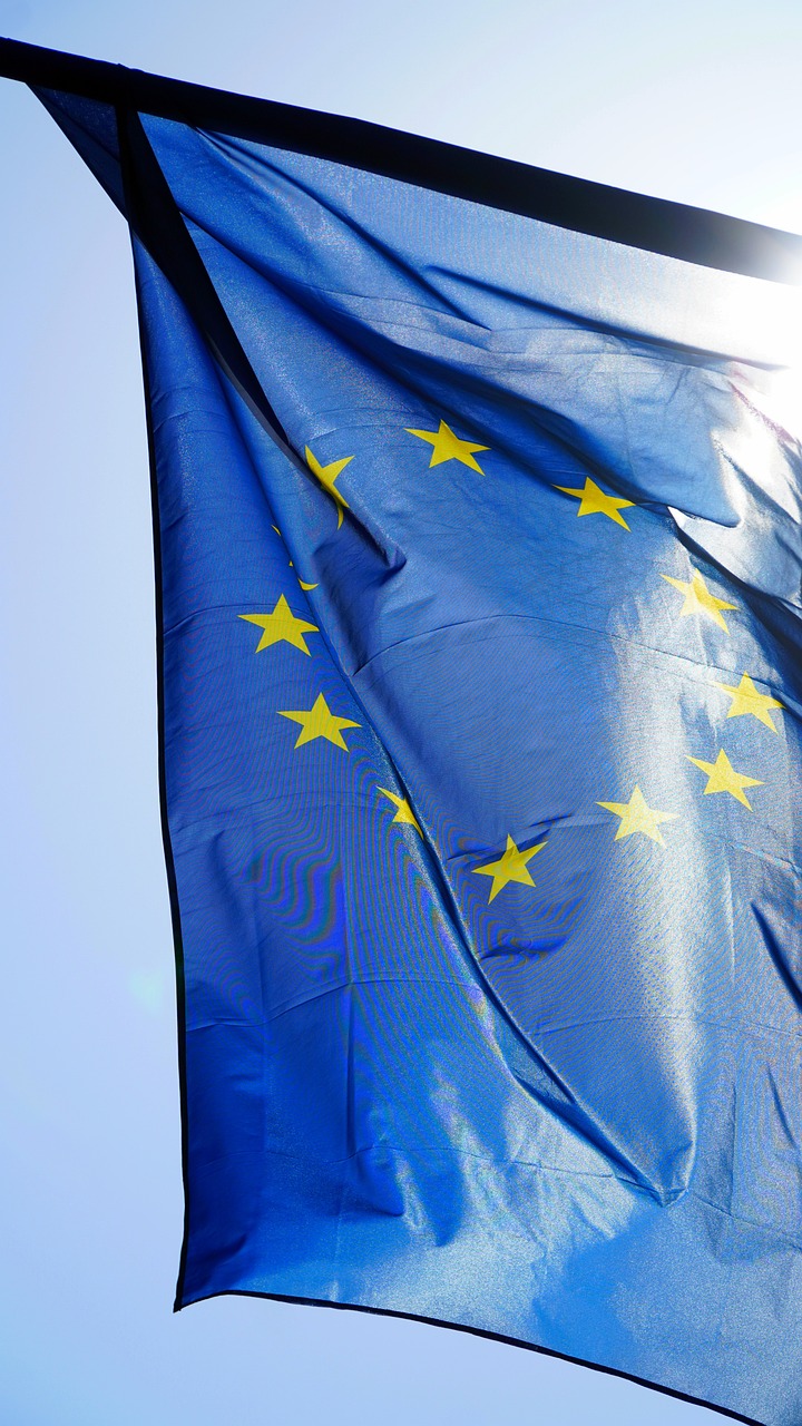 Décrypter la taxonomie verte de l’Union Européenne