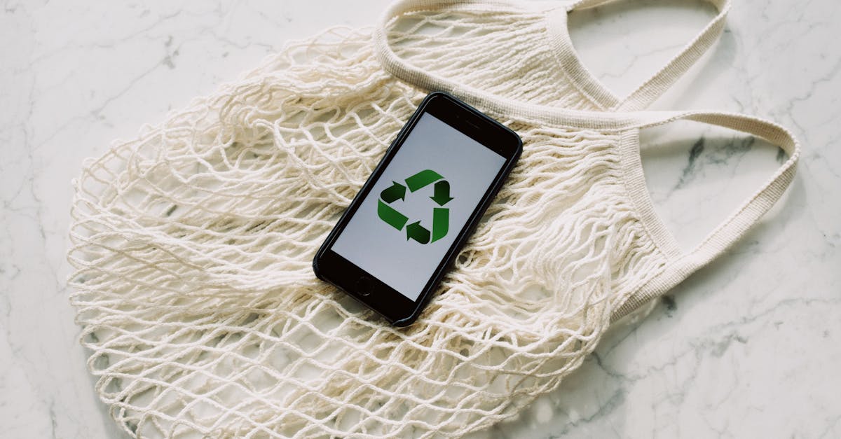 Société durable : vers un avenir respectueux de l’environnement