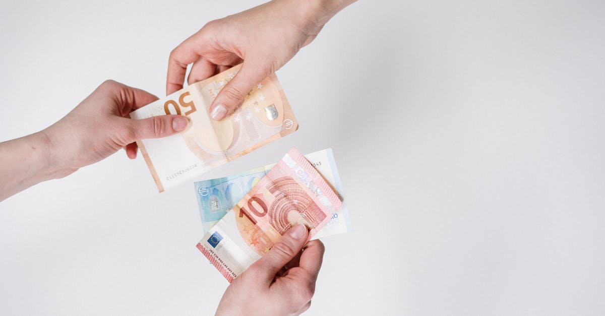 Pacte vert : comprendre les enjeux écologiques et économiques
