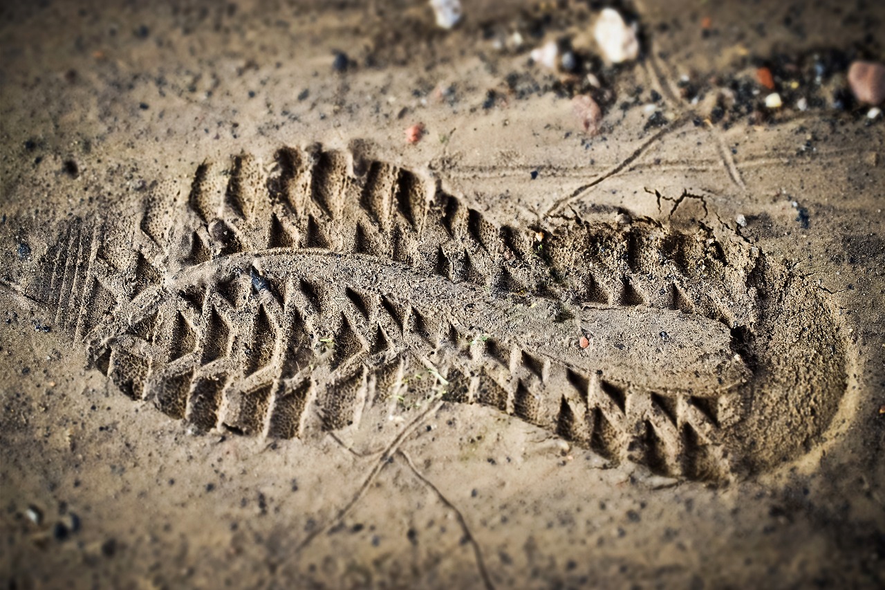 découvrez tout sur l'empreinte carbone : définition, impact environnemental, et stratégies pour la réduire. apprenez comment vos choix quotidiens influencent le changement climatique et comment adopter un mode de vie plus durable.