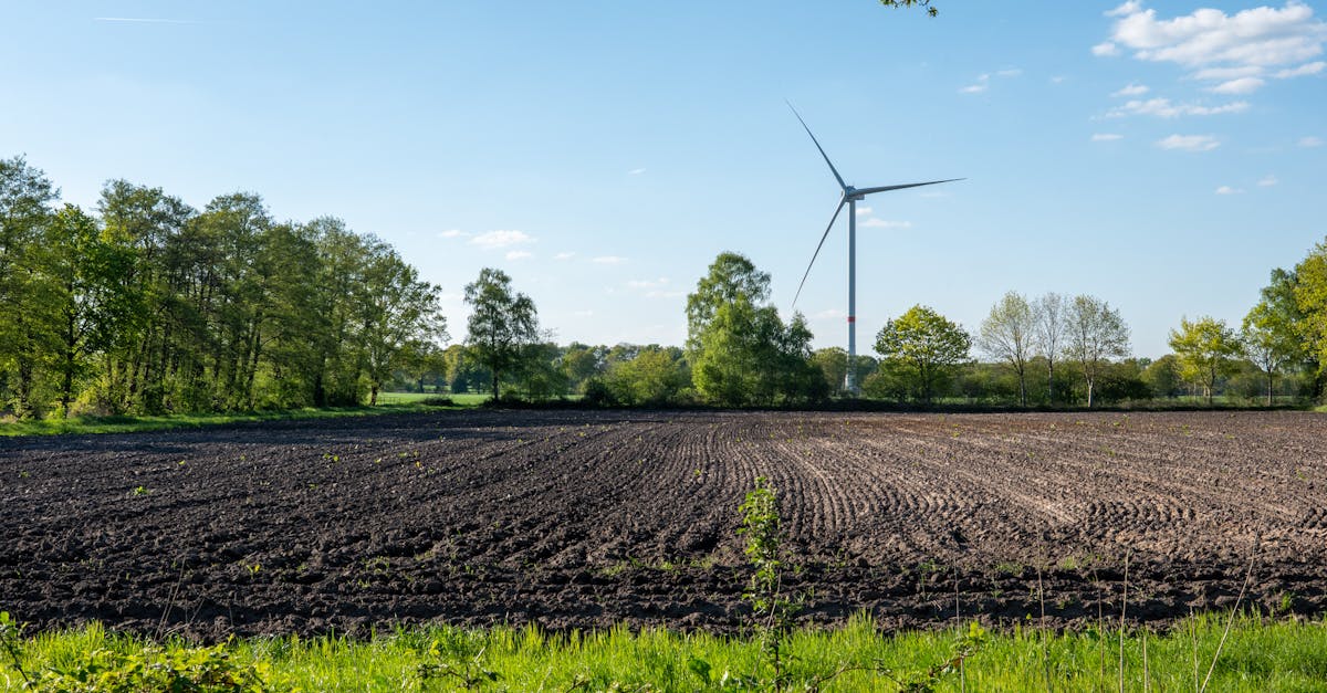découvrez comment réduire votre empreinte carbone et adopter des pratiques durables pour un avenir meilleur. informez-vous sur l'impact de vos choix quotidiens et explorez des solutions écologiques pour protéger notre planète.