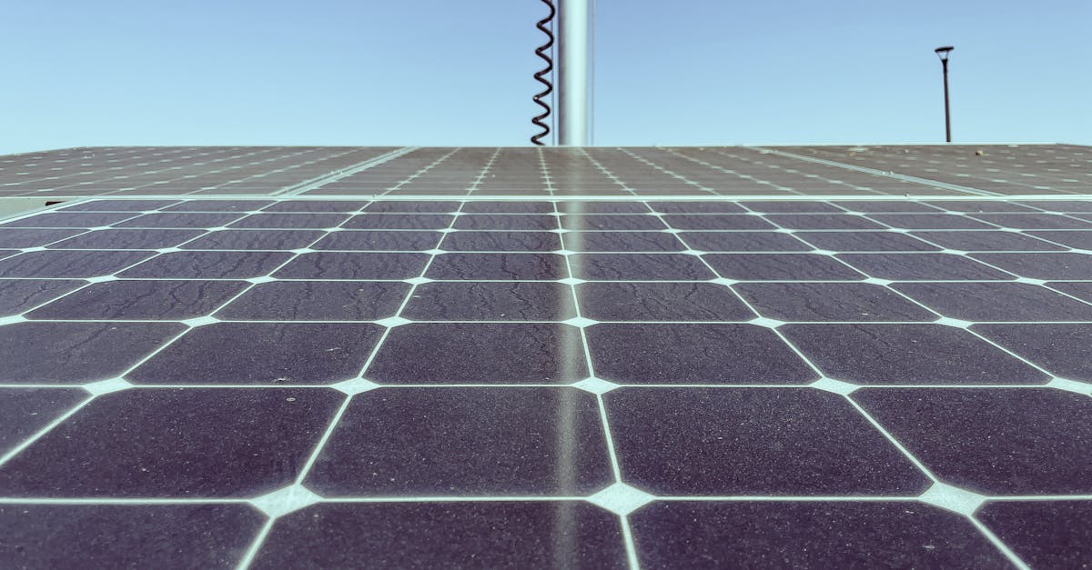 découvrez tout sur l'empreinte carbone : découvrez comment mesurer votre impact environnemental et adoptez des pratiques durables pour réduire votre contribution au changement climatique.