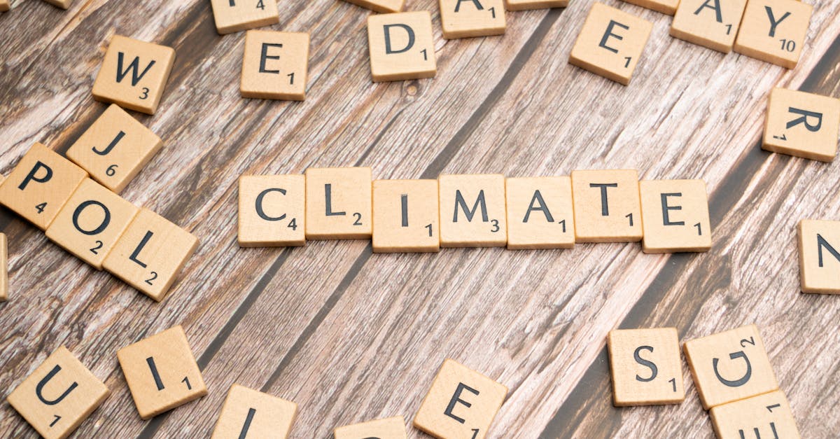 découvrez comment s'adapter aux changements climatiques grâce à des stratégies innovantes et durables. explorez les mesures pratiques pour réduire les impacts environnementaux et promouvoir une résilience accrue face aux défis du climat.