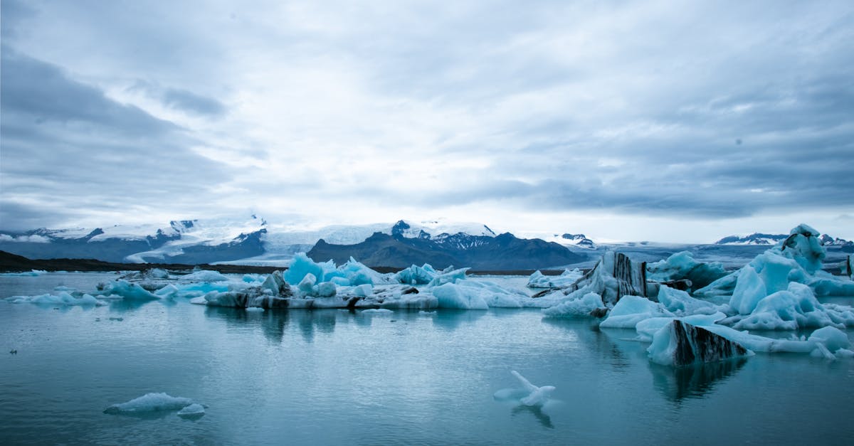 découvrez les enjeux du changement climatique, ses impacts sur notre planète et les solutions pour un avenir durable. engagez-vous pour préserver notre environnement.