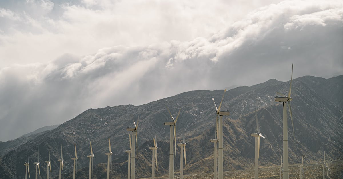 découvrez comment maintenir un équilibre écologique essentiel pour préserver notre planète. explorez des stratégies durables et des actions concrètes pour protéger notre environnement tout en favorisant une harmonie entre les êtres vivants et leur habitat.