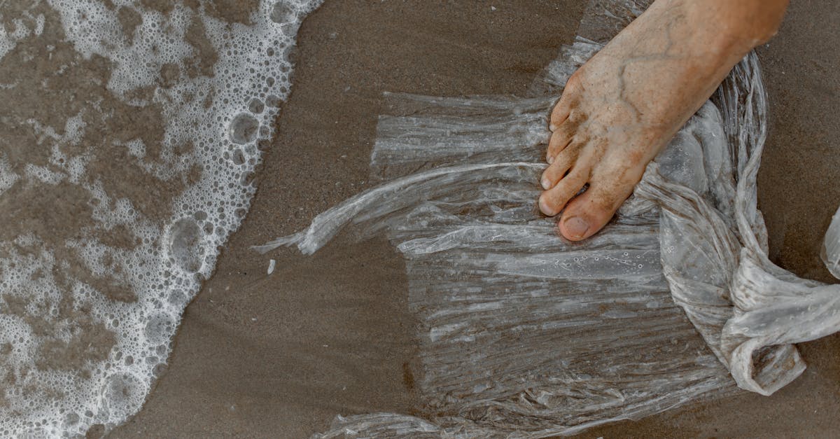 découvrez tout sur l'empreinte écologique, un indicateur crucial de l'impact environnemental de nos actions. apprenez comment réduire vos émissions, préserver les ressources naturelles et contribuer à un avenir durable grâce à des choix éclairés pour protéger notre planète.