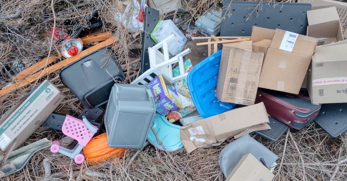 découvrez ce qu'est l'empreinte écologique, son importance pour l'environnement et comment réduire son impact sur la planète. apprenez des méthodes pratiques pour adopter un mode de vie plus durable.