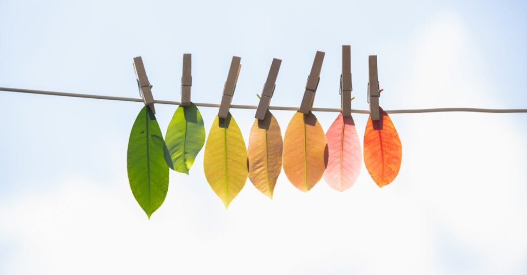 découvrez comment la transition écologique transforme notre société et notre environnement. explorez des solutions durables, des innovations vertes et des initiatives visant à préserver la planète pour les générations futures.