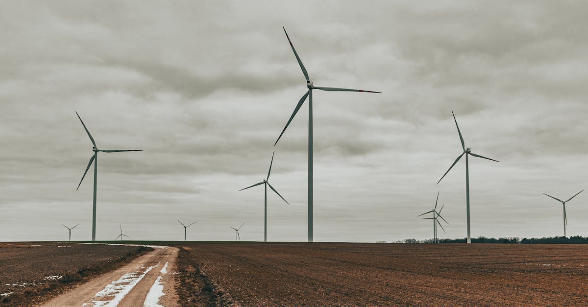 découvrez comment la transition énergétique façonne notre avenir. explorez les solutions durables, les innovations technologiques et les initiatives qui visent à réduire notre empreinte carbone et à promouvoir un mode de vie plus respectueux de l'environnement. engagez-vous dans le changement dès aujourd'hui !