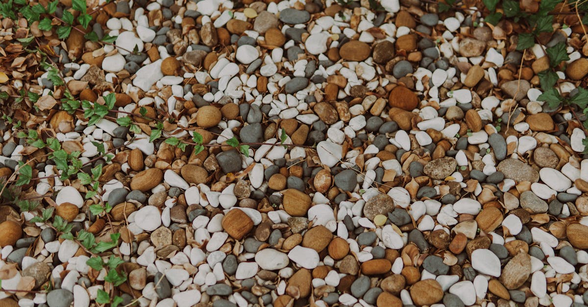 découvrez les enjeux de la gouvernance environnementale, un cadre essentiel pour la gestion durable des ressources naturelles et la protection de l'écosystème. apprenez comment les politiques et décisions influencent notre environnement, favorisant un développement harmonieux et respectueux de la planète.