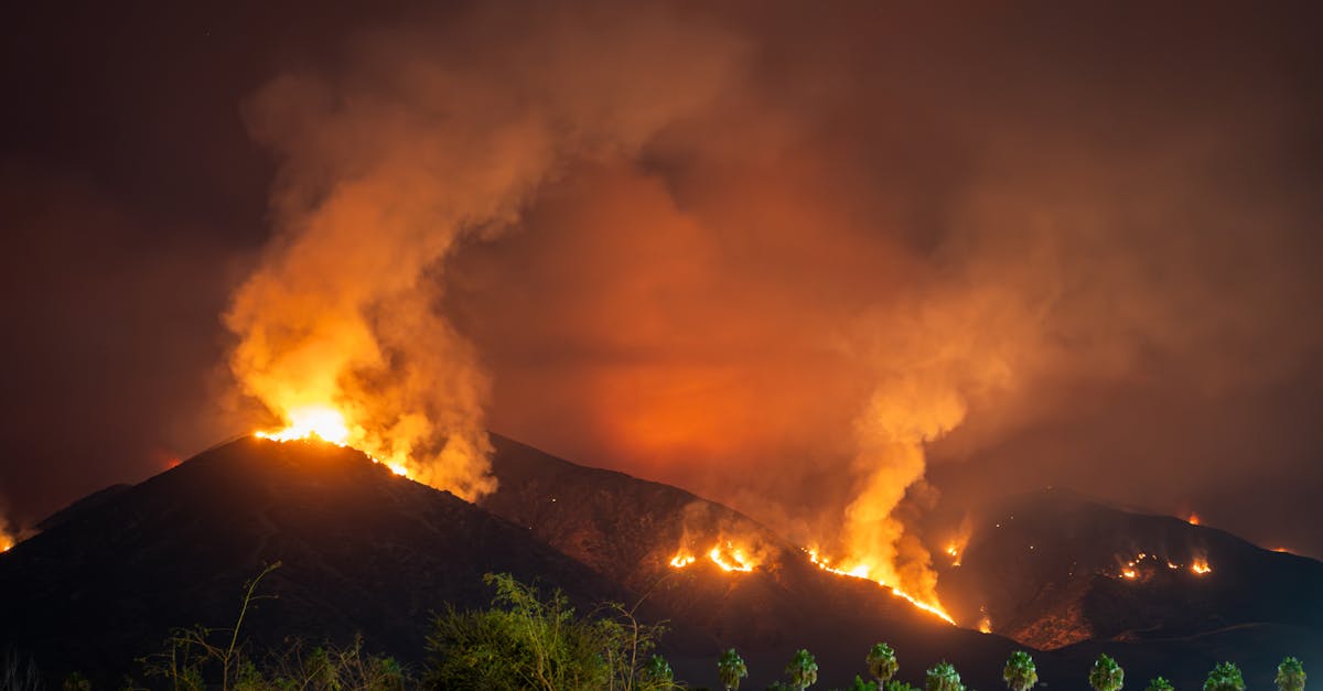 découvrez l'impact environnemental des activités humaines et comment nous pouvons réduire notre empreinte écologique. informez-vous sur les enjeux liés à la pollution, la biodiversité et le changement climatique, et adoptez des pratiques durables pour préserver notre planète.