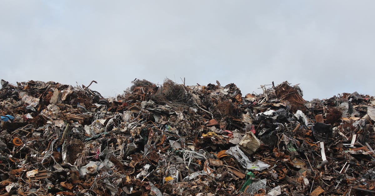 découvrez l'impact environnemental et ses conséquences sur notre planète. explorez des solutions durables et engagez-vous pour un avenir plus vert.