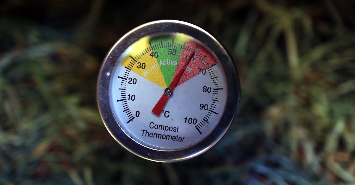 explorez les indicateurs environnementaux essentiels qui mesurent la santé de notre planète. découvrez comment ces données peuvent guider des décisions éclairées pour un avenir durable.