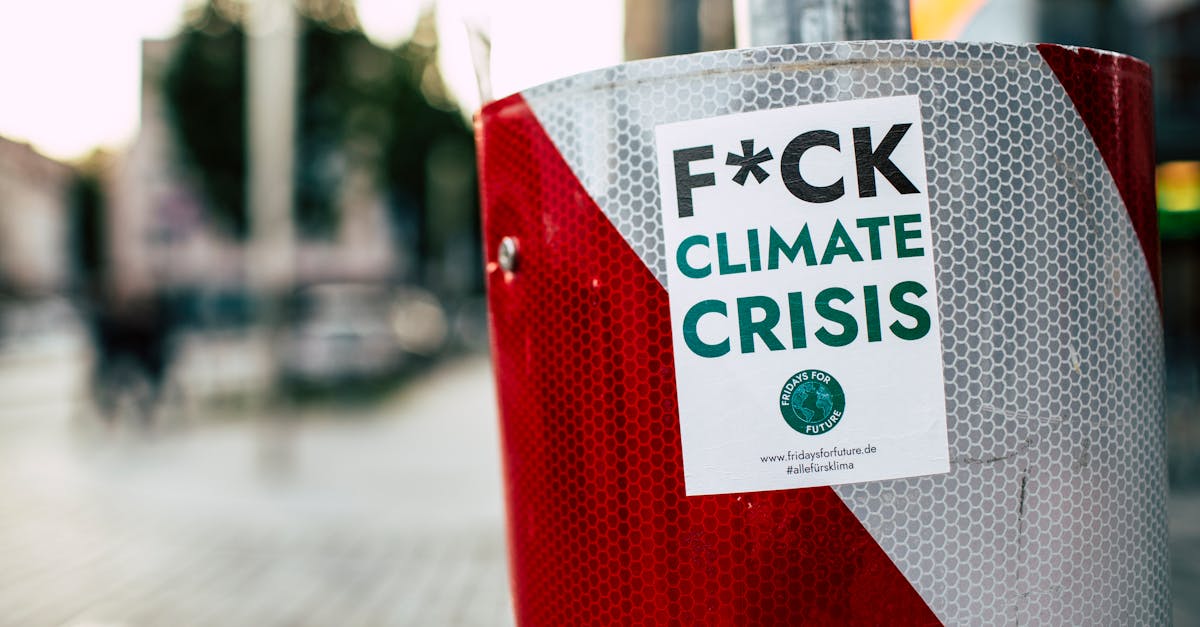 découvrez l'importance de la protection de l'environnement et les actions essentielles pour préserver notre planète. approfondissez vos connaissances sur les initiatives écologiques, la durabilité et comment chacun peut contribuer à un avenir plus vert.