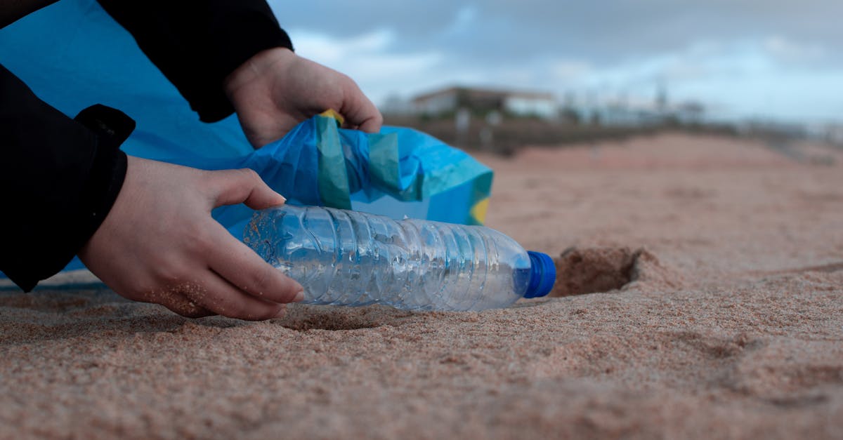 découvrez l'importance de la protection de l'environnement et les actions nécessaire pour préserver notre planète. engagez-vous pour un avenir durable avec des conseils pratiques et des initiatives écologiques.