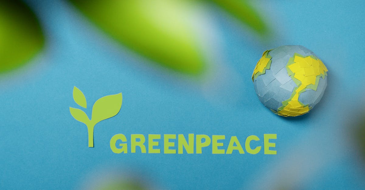 découvrez l'importance de la responsabilité environnementale et comment des actions individuelles et collectives peuvent contribuer à la protection de notre planète. engagez-vous pour un avenir durable et apprenez des stratégies efficaces pour réduire votre empreinte écologique.