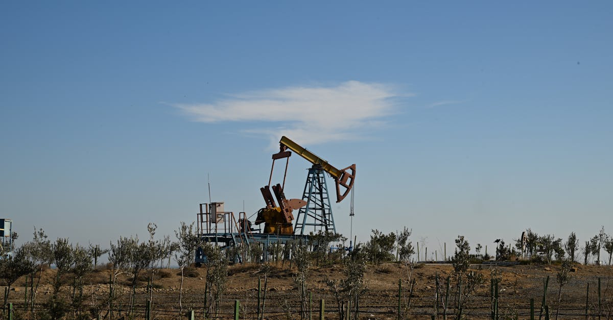explorez l'impact des combustibles fossiles sur l'environnement et l'économie, ainsi que les alternatives durables pour un avenir énergétique plus propre.