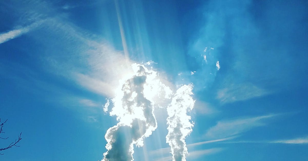 découvrez les enjeux de la pollution à travers le monde : ses effets sur l'environnement, la santé humaine et les initiatives durables pour un avenir plus sain. informez-vous sur les actions à entreprendre pour lutter contre ce fléau.