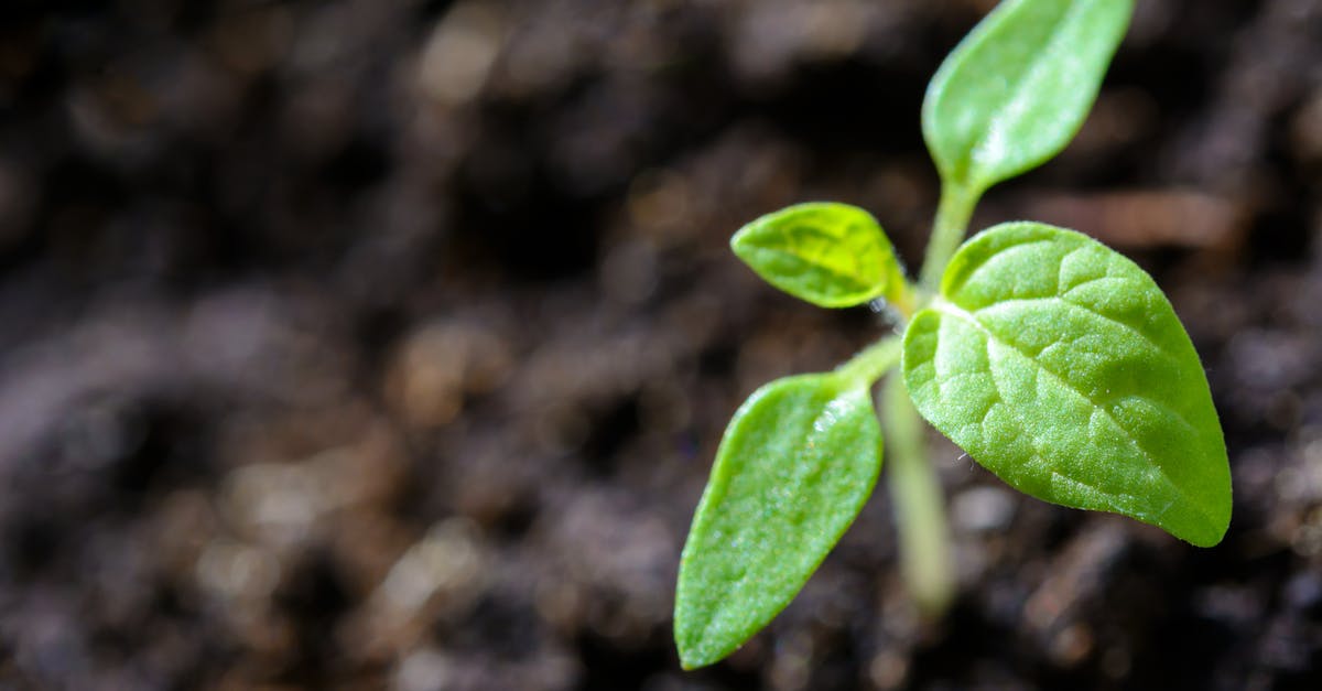 découvrez l'importance de la durabilité dans notre monde moderne. explorez des pratiques écoresponsables, des innovations écologiques et des stratégies pour un avenir plus durable. engagez-vous pour la planète et apprenez comment chacun peut contribuer à un mode de vie durable.