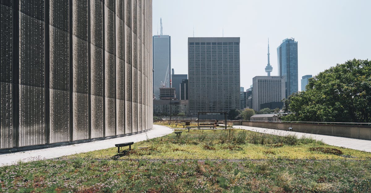 découvrez les principes de la durabilité et comment ils transforment notre rapport à l'environnement. explorez des solutions innovantes pour un avenir plus écologique et responsable.