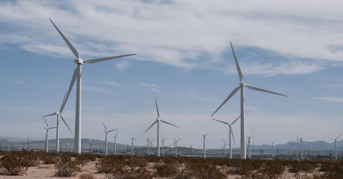 découvrez l'importance du développement durable pour un avenir meilleur. explorez des pratiques innovantes et des stratégies écologiques visant à équilibrer la croissance économique, la protection de l'environnement et le bien-être social.