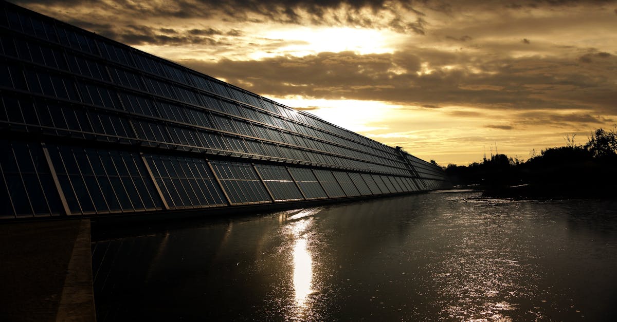 découvrez les clés du développement durable : une approche qui respecte l'environnement, favorise l'économie responsable et garantit le bien-être social. engagez-vous pour un avenir plus vert avec des pratiques durables et des solutions innovantes.