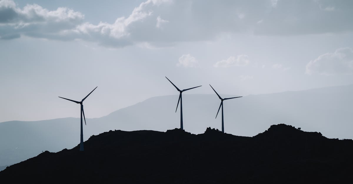 découvrez comment le développement durable transforme notre avenir en équilibrant les besoins économiques, sociaux et environnementaux. explorez des solutions innovantes et des pratiques responsables pour un monde meilleur.
