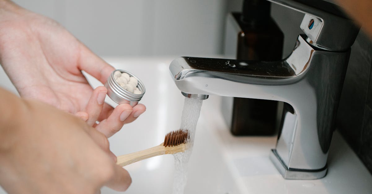 découvrez des habitudes durables pour un mode de vie éco-responsable. apprenez à réduire votre empreinte carbone, à adopter des pratiques respectueuses de l'environnement et à contribuer à la préservation de notre planète. transformez vos actions quotidiennes en gestes bénéfiques pour la terre.