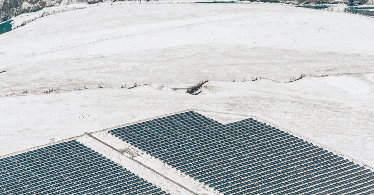 découvrez l'investissement durable : une approche qui allie rentabilité et responsabilité environnementale. apprenez à renforcer votre portefeuille tout en soutenant des projets qui préservent notre planète.