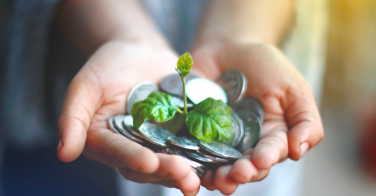 découvrez comment l'investissement durable redéfinit les stratégies financières, alliant rentabilité et responsabilité sociale. adoptez une approche éthique pour un avenir meilleur tout en maximisant vos rendements.