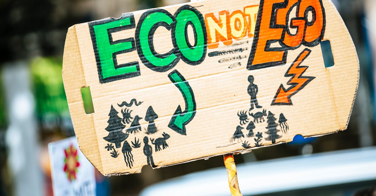 découvrez tout ce qu'il faut savoir sur l'empreinte carbone : définition, impacts environnementaux, et solutions pour la réduire. apprenez à adopter des comportements écoresponsables pour un avenir plus durable.