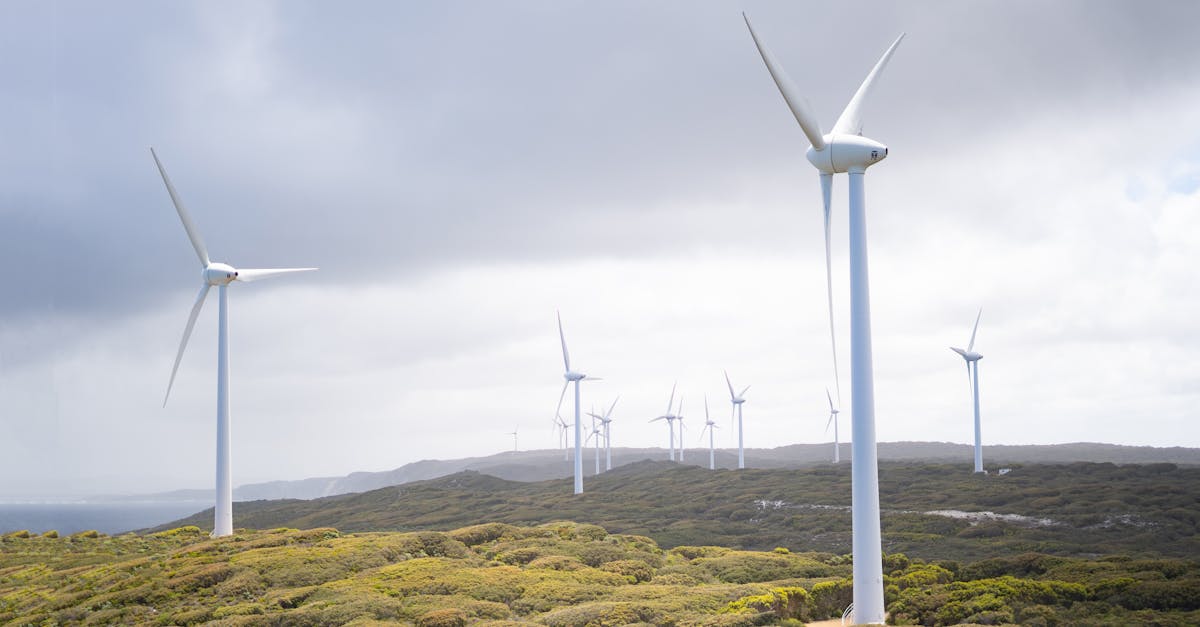 découvrez les enjeux et les solutions pour la décarbonisation, un processus clé vers un avenir durable. apprenez comment réduire les émissions de carbone et adopter des pratiques respectueuses de l'environnement.