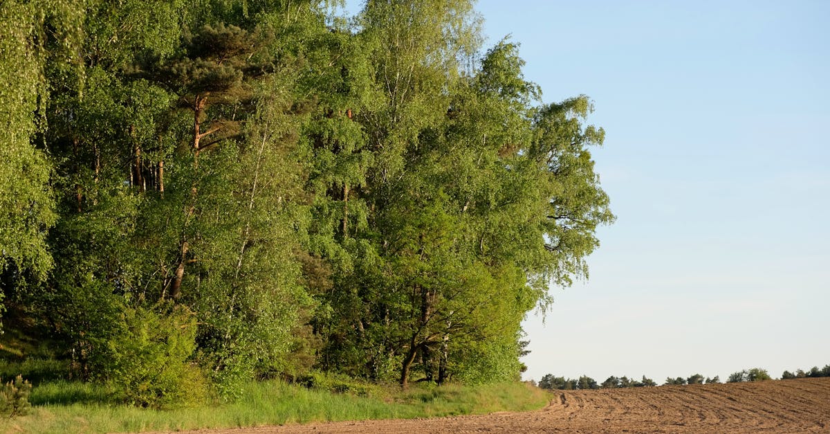 découvrez comment obtenir une certification environnementale, garantissant que votre entreprise respecte les normes écologiques et contribue à la protection de notre planète. améliorez votre impact environnemental et renforcez votre réputation grâce à des pratiques durables.