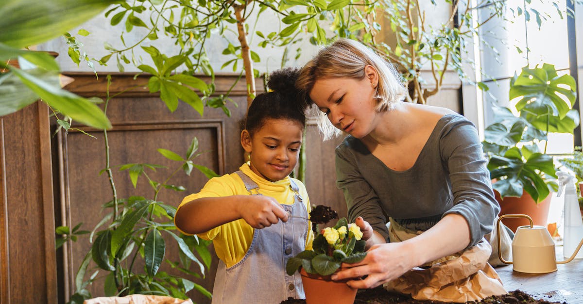 découvrez l'importance de l'éducation environnementale pour sensibiliser les jeunes générations aux enjeux écologiques. apprenez à protéger notre planète à travers des programmes éducatifs innovants et des initiatives durables.