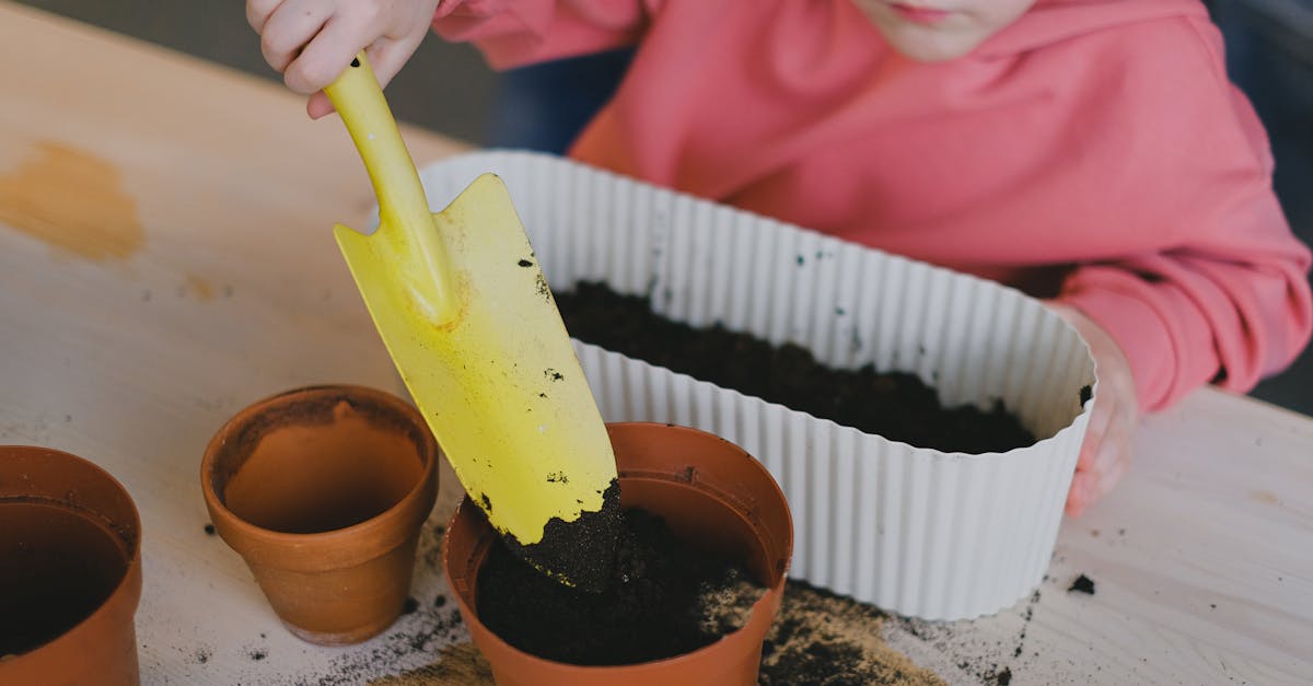 découvrez l'importance de l'éducation environnementale pour sensibiliser les générations futures aux défis écologiques. apprenez des astuces pratiques pour promouvoir un mode de vie durable et protéger notre planète.