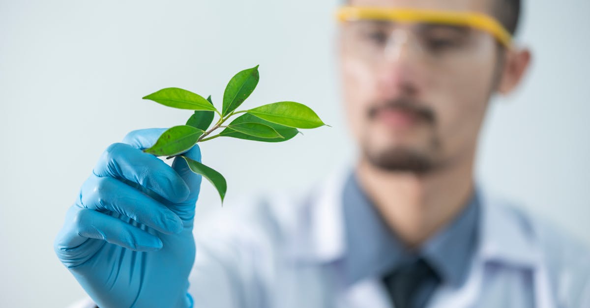 découvrez les étiquettes environnementales, des outils essentiels pour identifier les produits respectueux de l'environnement. apprenez comment ces labels promeuvent la durabilité et aident les consommateurs à faire des choix éclairés pour un avenir plus vert.