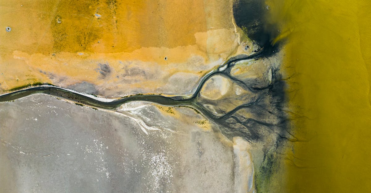 découvrez les enjeux et les bénéfices de la régulation environnementale pour protéger notre planète. explorez les lois, les politiques et les initiatives qui visent à réduire l'impact écologique et à instaurer un développement durable.