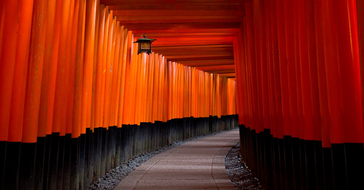 découvrez le protocole de kyoto, un accord international visant à lutter contre le changement climatique en réduisant les émissions de gaz à effet de serre, signé par de nombreux pays dans le but de protéger notre planète pour les générations futures.