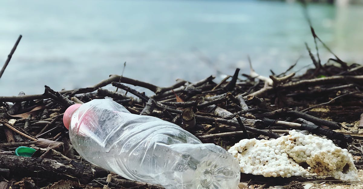 découvrez l'importance du recyclage pour la protection de notre planète. apprenez comment trier vos déchets, les matériaux recyclables et les avantages écologiques du recyclage. ensemble, faisons la différence pour un avenir durable.