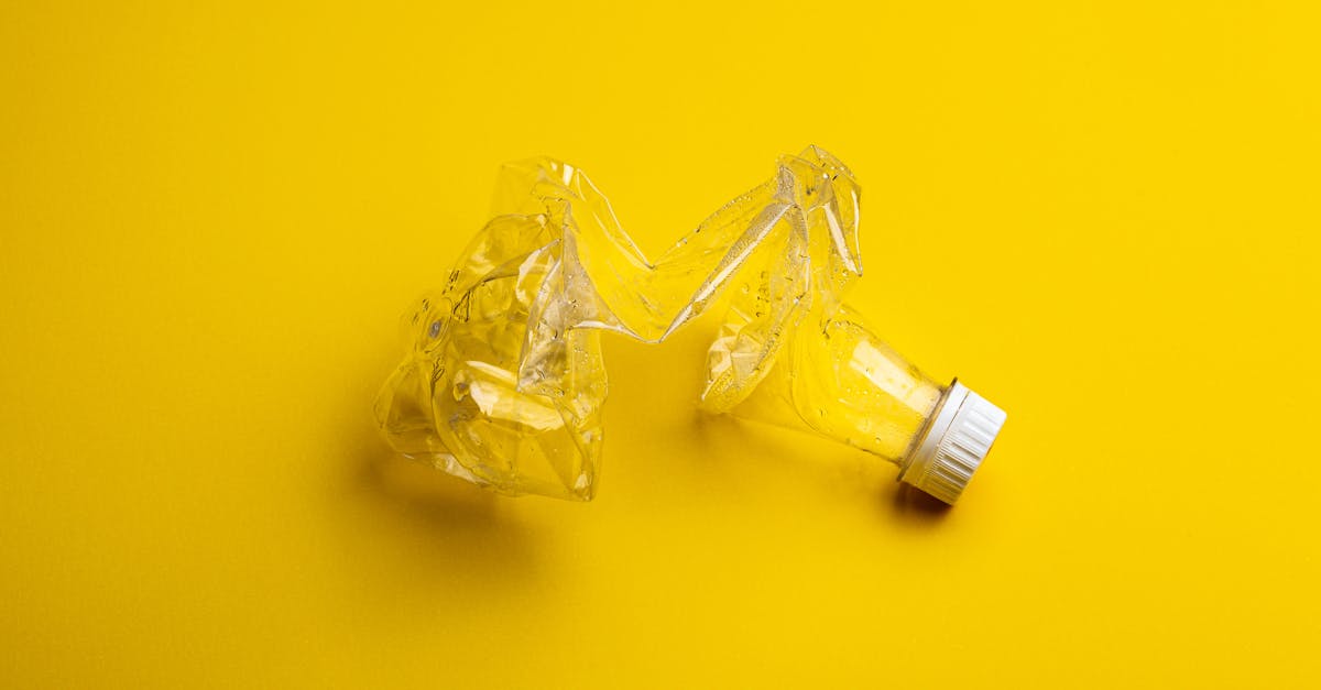 découvrez l'importance du recyclage pour préserver notre planète. apprenez les meilleures pratiques, les différents matériaux recyclables et les avantages environnementaux de cette démarche vitale. engagez-vous pour un avenir durable !