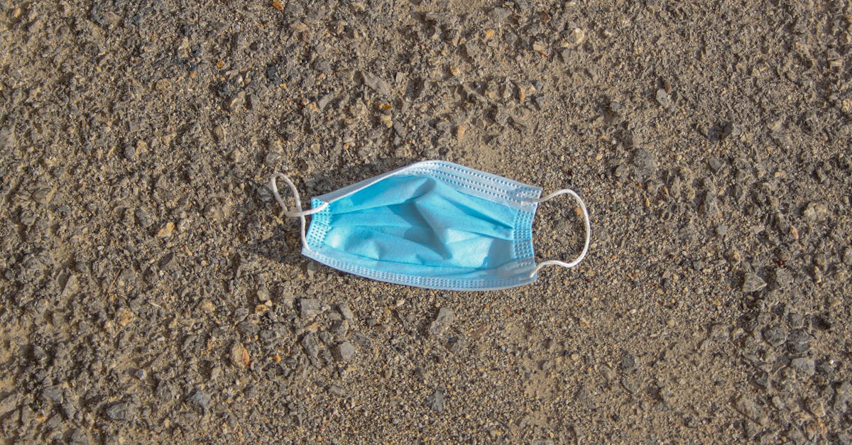 découvrez les causes et les conséquences de la pollution des sols, ainsi que des solutions pour préserver notre environnement. informez-vous sur les impacts sur la santé humaine et les écosystèmes, et apprenez comment agir pour un sol sain.