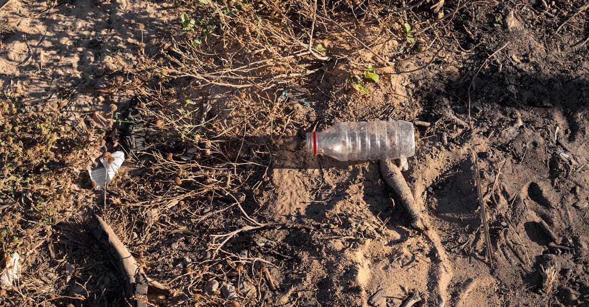 découvrez les causes et les conséquences de la pollution des sols. apprenez comment cette problématique environnementale affecte la santé des écosystèmes et des êtres vivants, ainsi que les solutions pour préserver nos terres.
