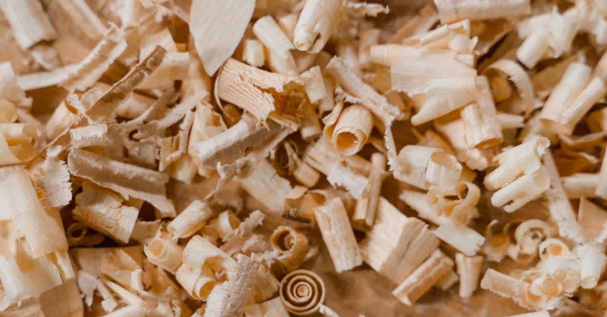 découvrez les principes de la construction durable, une approche innovante qui allie respect de l'environnement et efficacité énergétique. apprenez comment construire des bâtiments écologiques, réduire l'empreinte carbone et promouvoir des matériaux renouvelables pour un avenir plus vert.