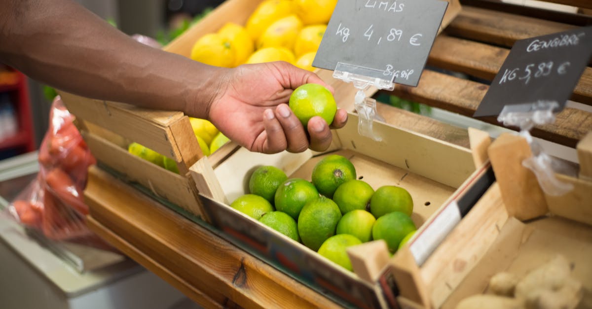 découvrez comment une économie durable transforme nos sociétés en alliant prospérité économique et protection de l'environnement. explorez des pratiques innovantes, des solutions écologiques et des stratégies pour un avenir responsable.