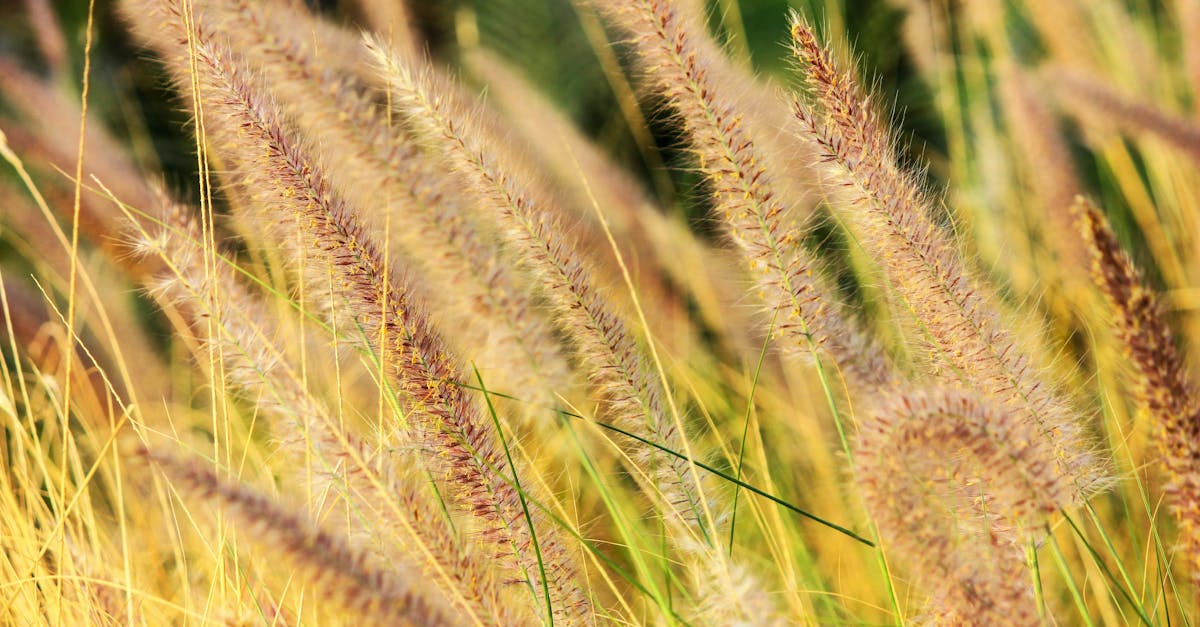 découvrez comment l'économie durable transforme notre monde en alliant croissance économique, respect de l'environnement et équité sociale. explorez des stratégies innovantes et des pratiques responsables pour un avenir prospère et durable.