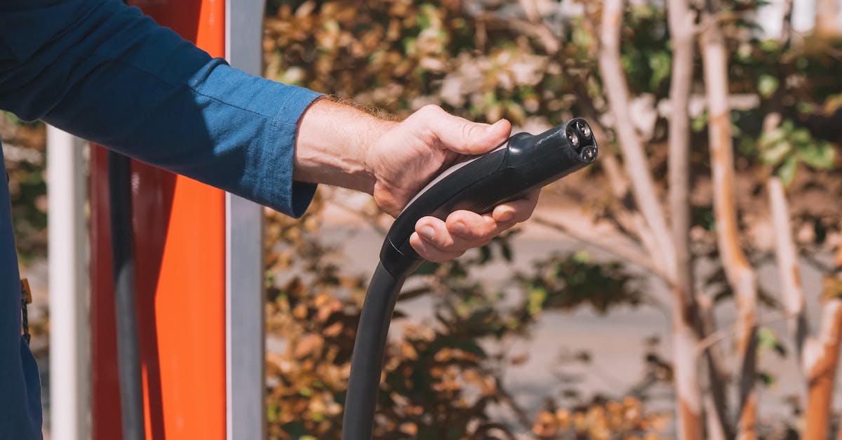 découvrez comment une économie durable peut transformer notre société en intégrant des pratiques écologiques, sociales et économiques. explorez les enjeux, avantages et solutions pour bâtir un avenir responsable et prospère.