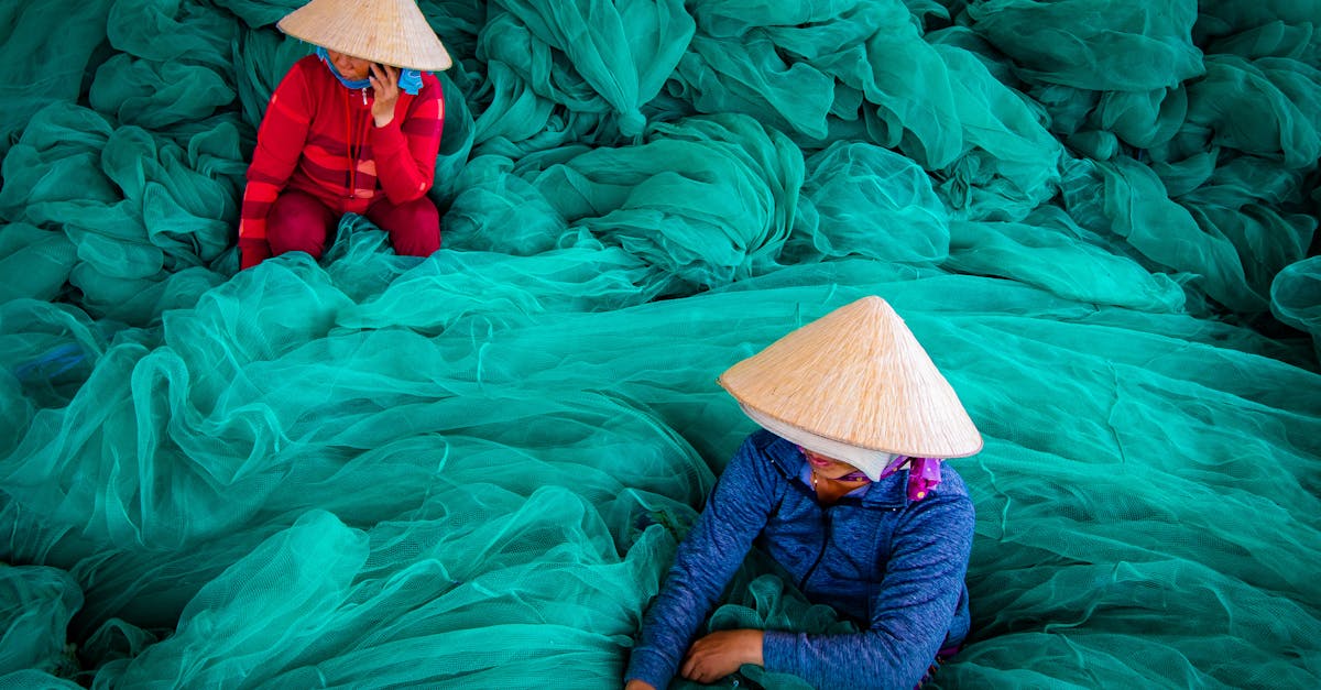 découvrez les pratiques durables qui protègent notre planète et favorisent un avenir éco-responsable. apprenez comment intégrer des méthodes écologiques dans votre quotidien pour un impact positif sur l'environnement.