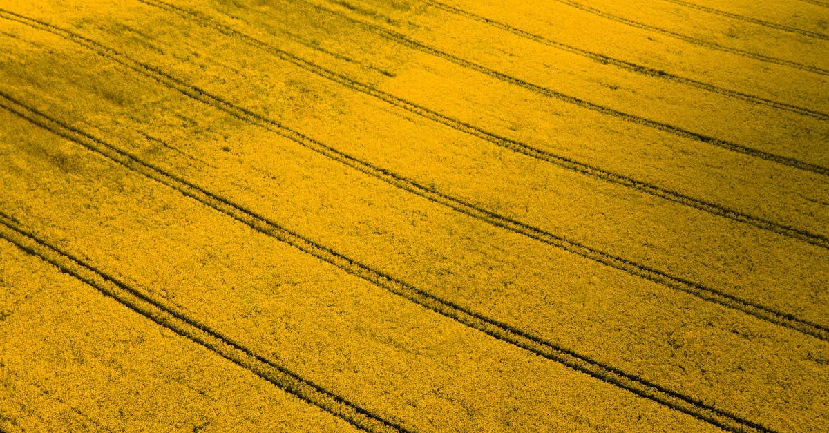 découvrez les biocarburants, des alternatives renouvelables aux combustibles fossiles, qui contribuent à réduire les émissions de carbone et à promouvoir une énergie durable. apprenez comment ils sont produits, leurs avantages environnementaux et leur rôle essentiel dans la transition énergétique.
