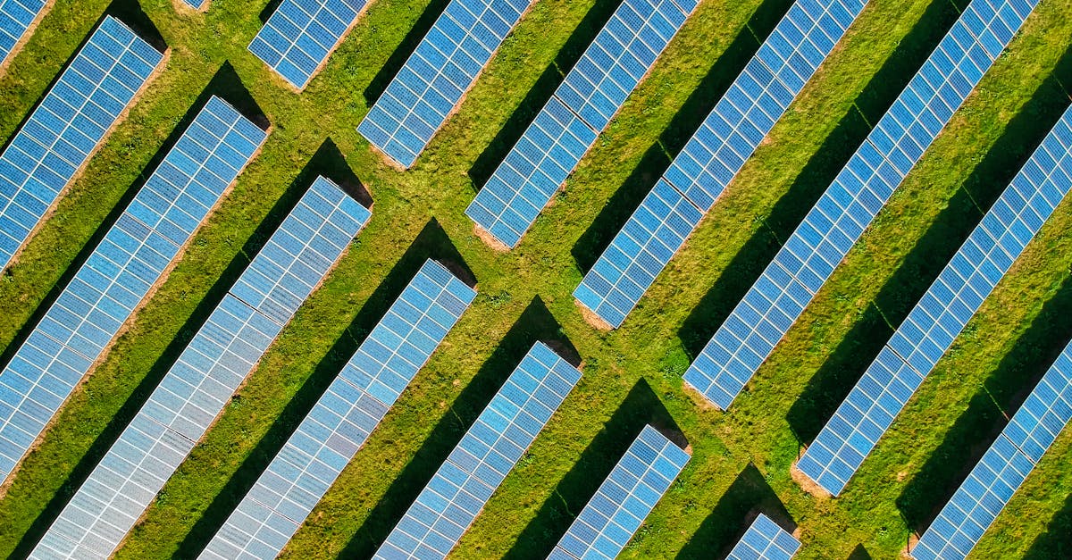 découvrez tout sur l'empreinte carbone, un indicateur essentiel de notre impact environnemental. apprenez comment réduire votre empreinte et adopter des pratiques écologiques pour un avenir plus durable.