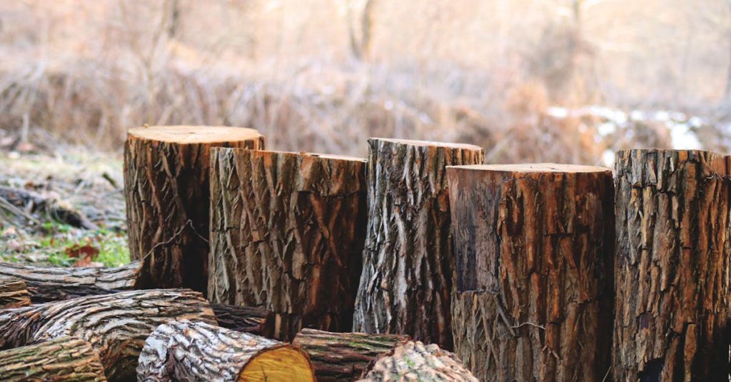 découvrez l'empreinte carbone, un indicateur essentiel pour mesurer l'impact environnemental de nos activités. apprenez à réduire votre empreinte écologique et à adopter des pratiques durables pour un avenir plus vert.